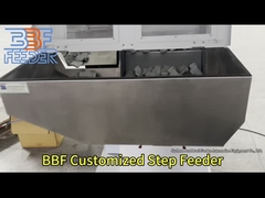 Elektrische Schrittmaschine mit wechselseitigem Schrittzufuhr-Plastikteil