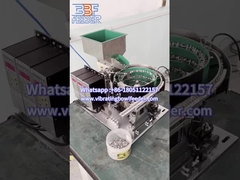 Edelstahl 304 Vibrationsschüsselzufuhr